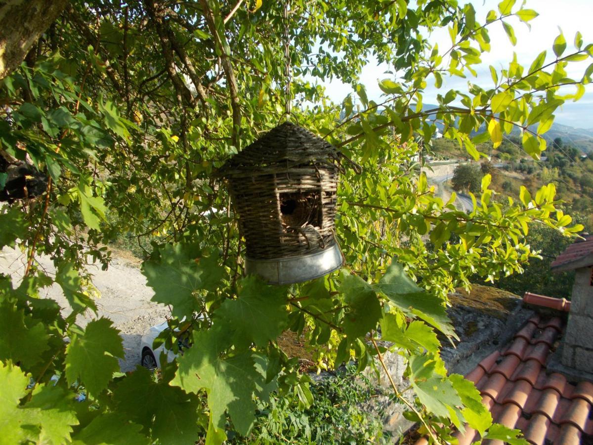 Ferienhaus Casa De Sao Joao Castanheiras Resende